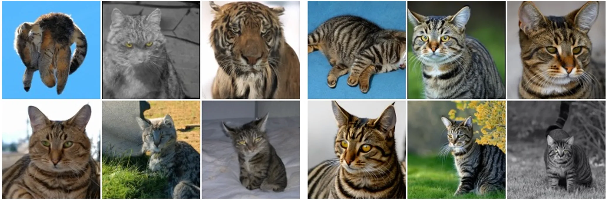 Comparison of diffusion model outputs without and with classifier-free guidance